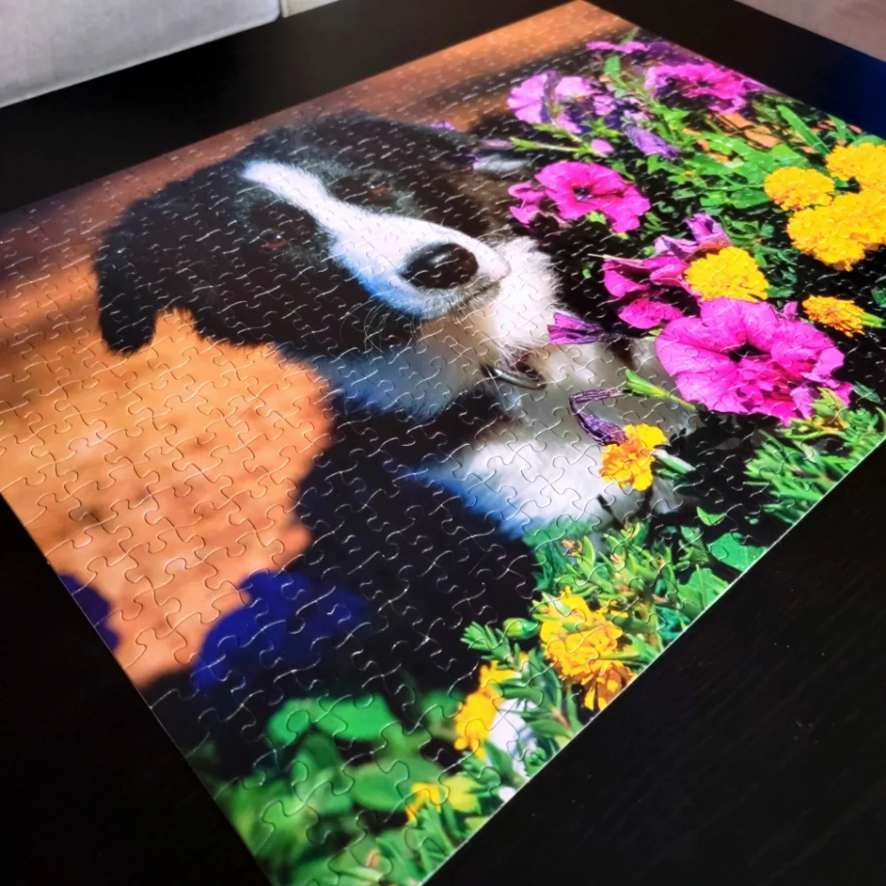 Sure-Lox Border Collie with Petunias 500 Piece Jigsaw Puzzle with Back Image